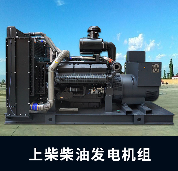 顶博上柴发电机组