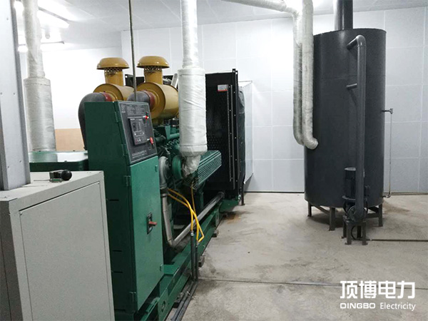 500kw里卡多-加水印.jpg